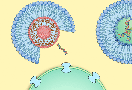 Synthetic Biology: Principles and Applications
