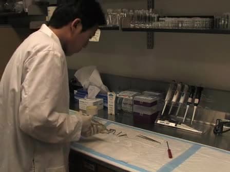 Preparation of Artificial Bilayers for Electrophysiology Experiments