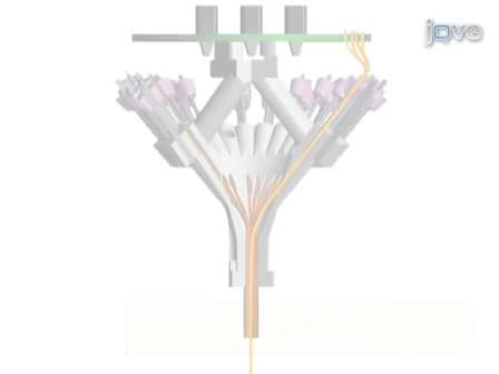 Micro-drive Array for Chronic <em>in vivo</em> Recording: Tetrode Assembly