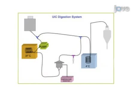 Human Pancreatic Islet Isolation: Part I: Digestion and Collection of Pancreatic Tissue