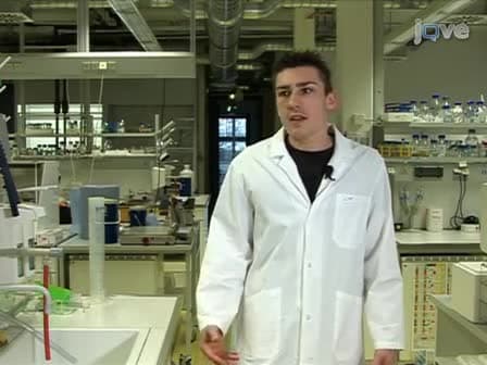 Homemade Site Directed Mutagenesis of Whole Plasmids