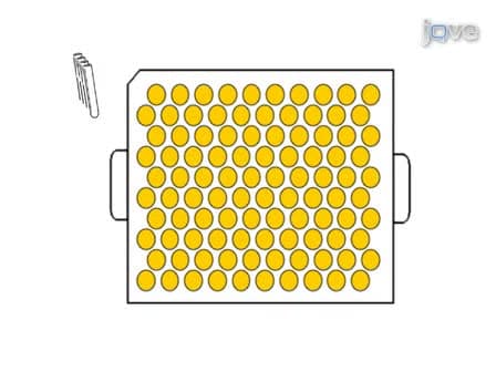 Quantifying Yeast Chronological Life Span by Outgrowth of Aged Cells