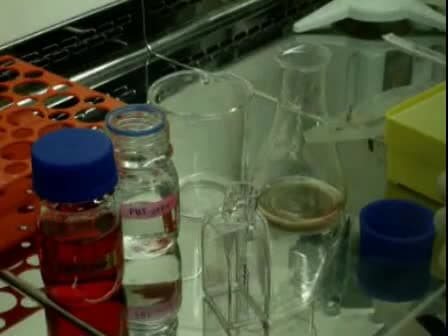 Cellular Toxicity of Nanogenomedicine in MCF-7 Cell Line: MTT assay