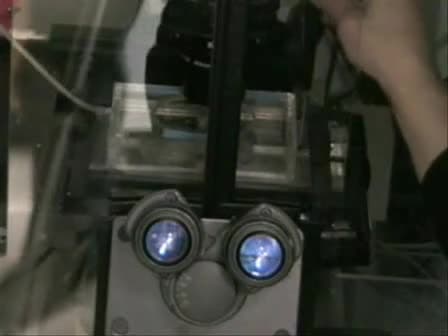 Long-term Imaging Mammalian Cells using Wide-Field Microscopy