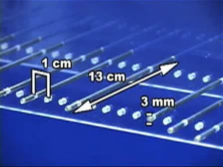 The Ladder Rung Walking Task: A Scoring System and its Practical Application.