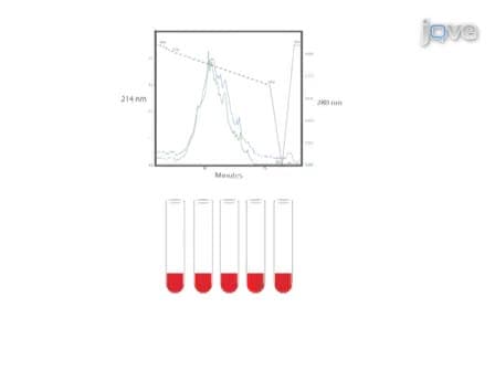 Quantitative Phosphoproteomics in Fatty Acid Stimulated <em>Saccharomyces cerevisiae</em>
