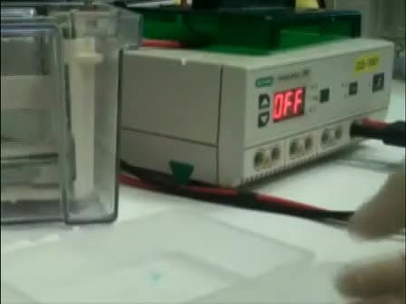 Denaturing Urea Polyacrylamide Gel Electrophoresis (Urea PAGE)