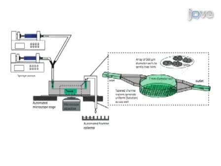 A Multi-Parametric Islet Perifusion System within a Microfluidic Perifusion Device