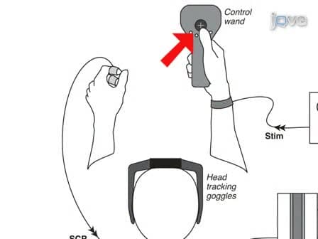 Human Fear Conditioning Conducted in Full Immersion 3-Dimensional Virtual Reality