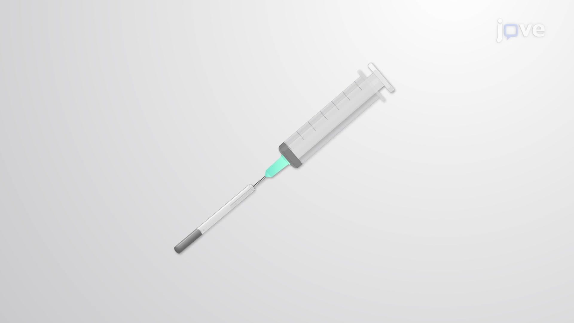 Subcutaneous Dihydrotestosterone (DHT) Treatment: Mouse Model of Polycystic Ovary Syndrome (PCOS)