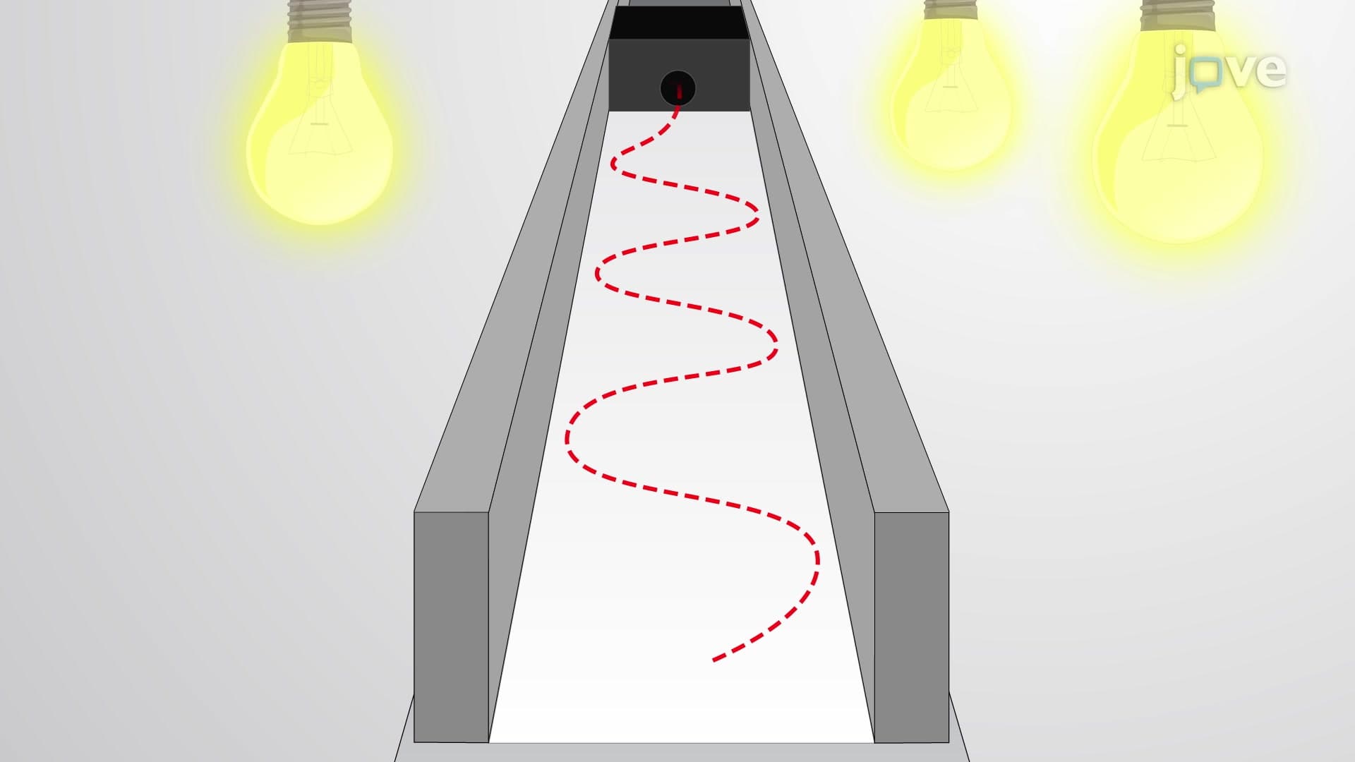 Assessing Gait by Footprint Analysis: A Method to Test Motor Coordination in Mice