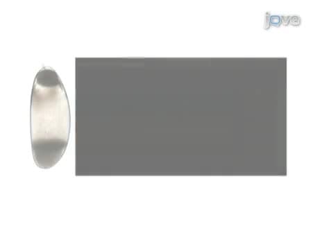 In-vivo Centrifugation of Drosophila Embryos