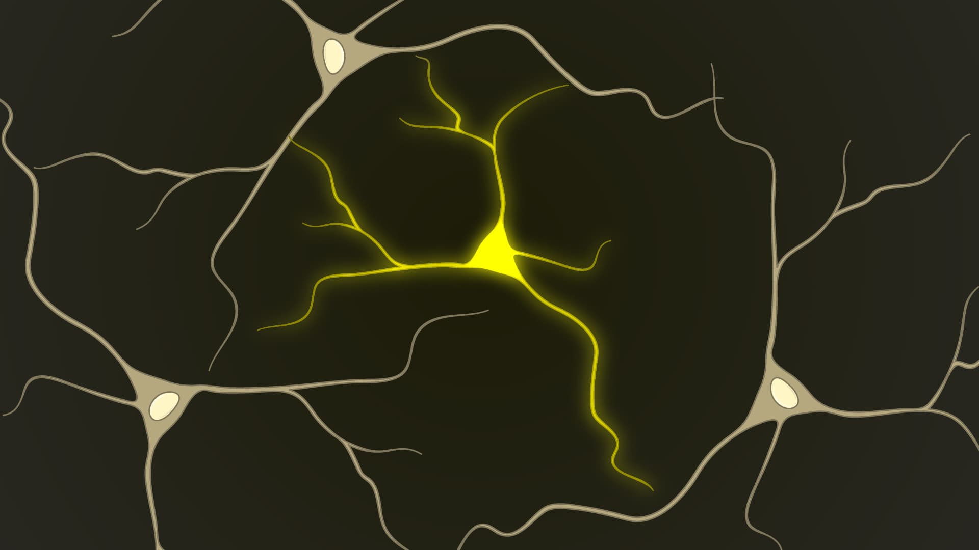 Two-Photon Laser-Induced Neural Injury: A Method to Observe Axon Degeneration and Regeneration in Drosophila Larvae