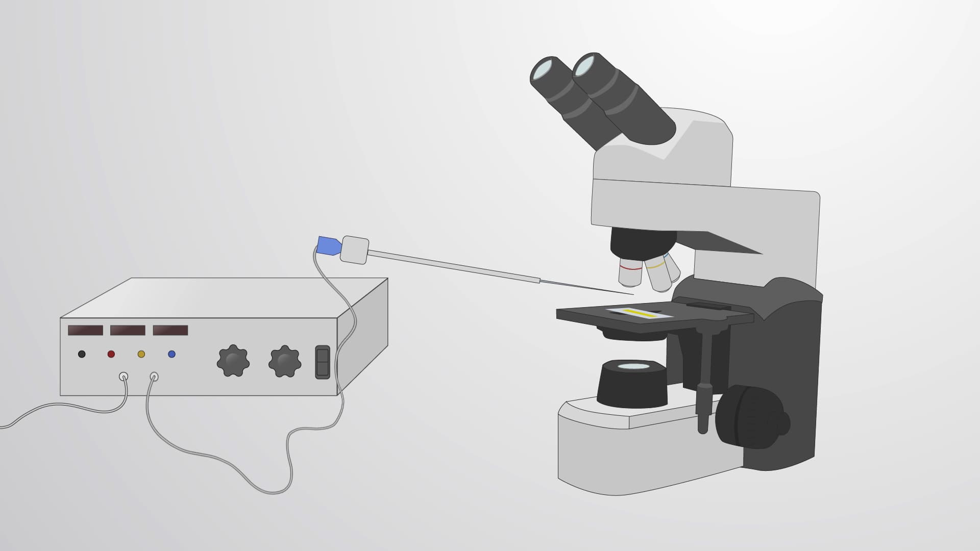 Microinjection of Live Drosophila Embryos: Early Delivery of Reagents to the Developing Embryo