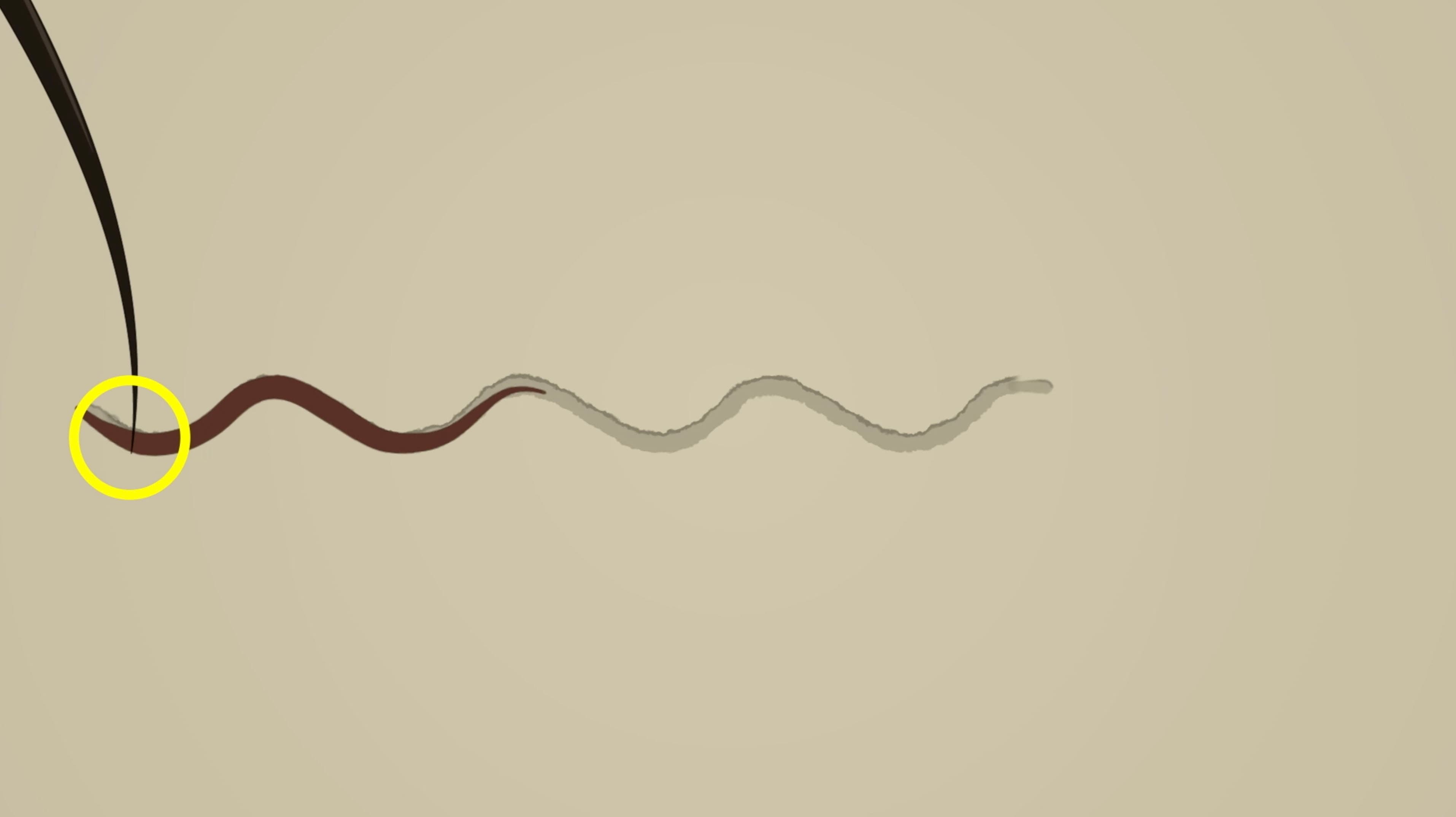 Touch Habituation Assay: A Method to Study Non-Associative Learning in C. elegans