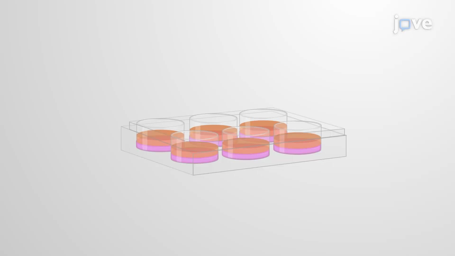 Soft Agar Colony Formation Assay: A Method to Test Effects of Novel Compounds on Cancer Cell Proliferation