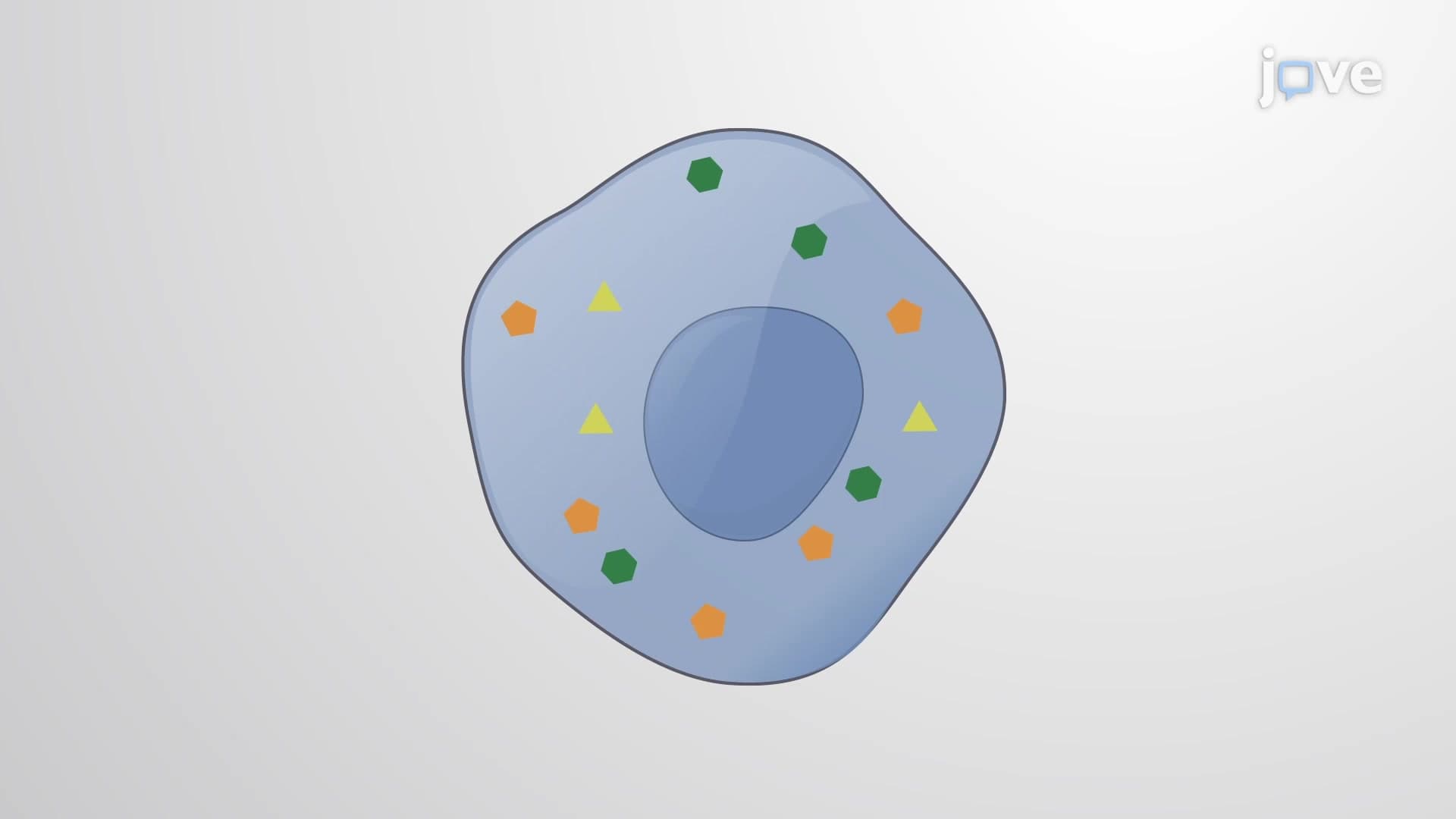 Sample Preparation for Metabolomics: A Method to Prepare Cell Samples for Metabolite Profiling