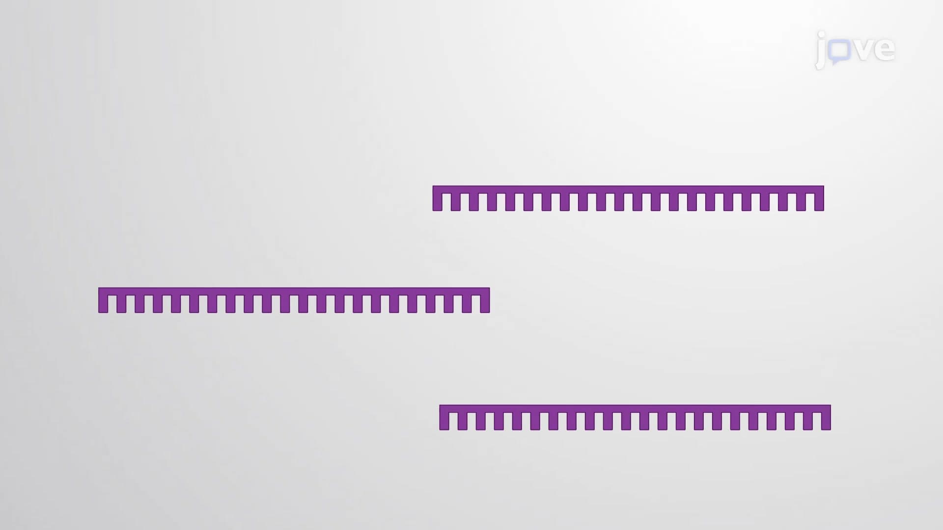 miRNA Extraction: A Method to Extract miRNA from Plasma Sample