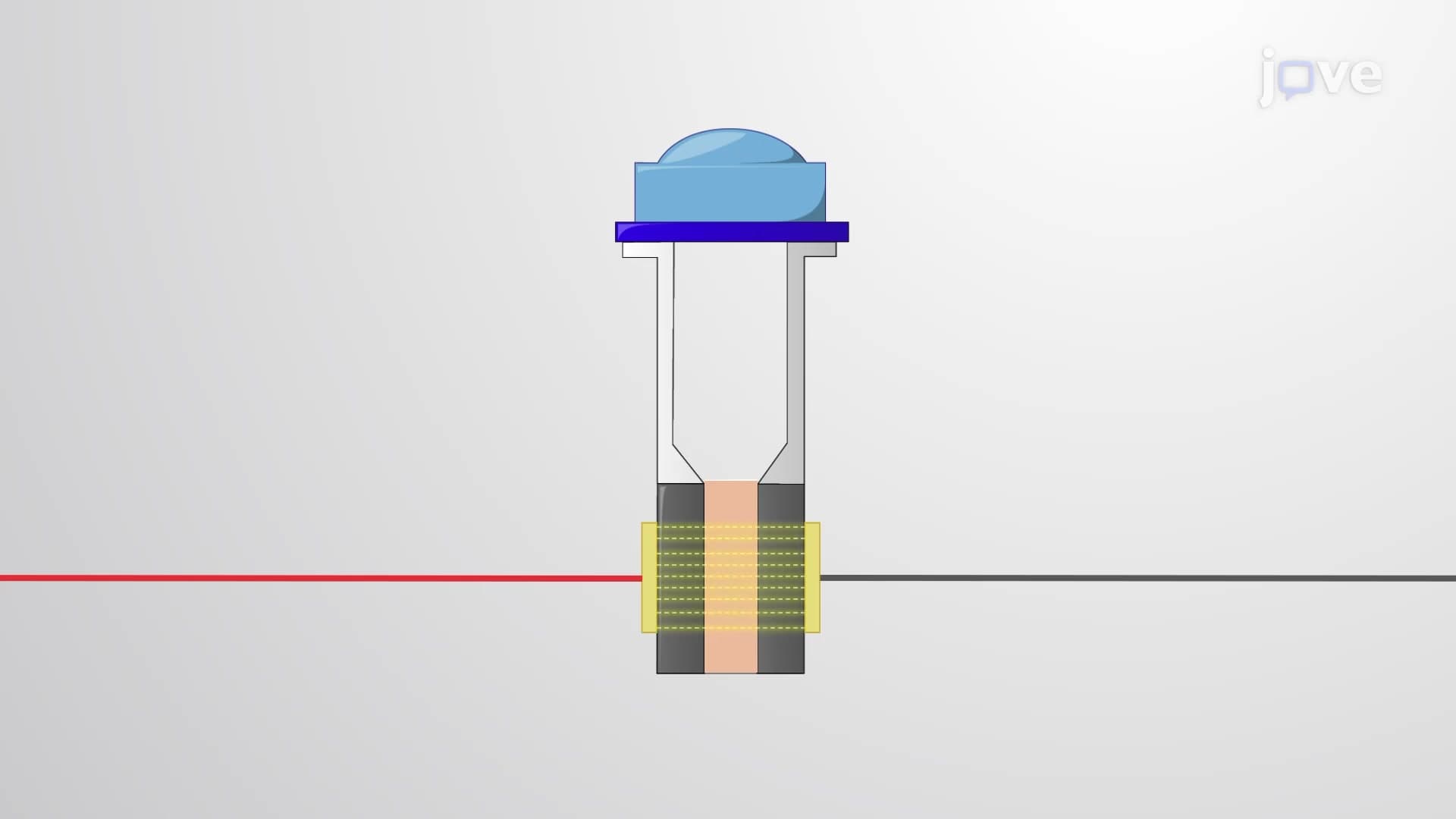 Organoid Electroporation: A Method to Transfect Plasmid DNA into Gastrointestinal Organoids