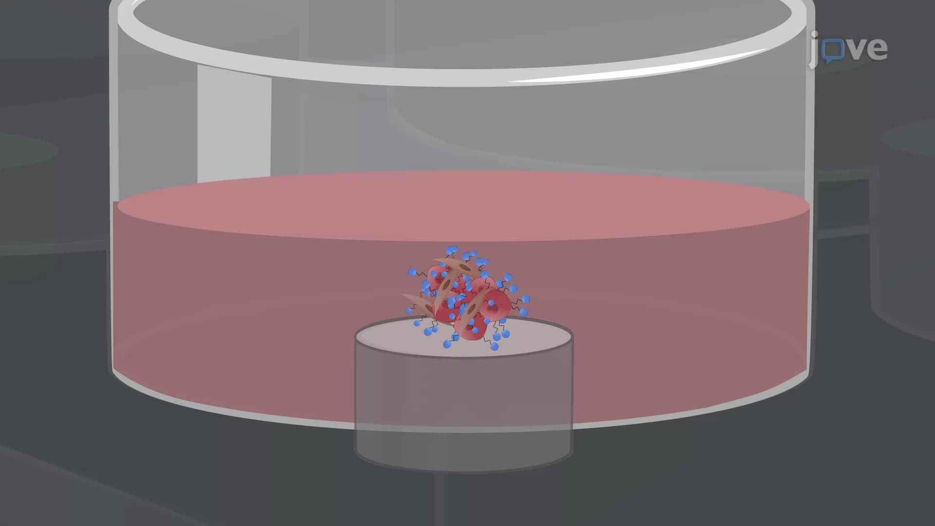Magnetically Bioprinted 3D Spheroid Co-cultures: A Method for Co-culturing Cancerous Cells and Fibroblasts
