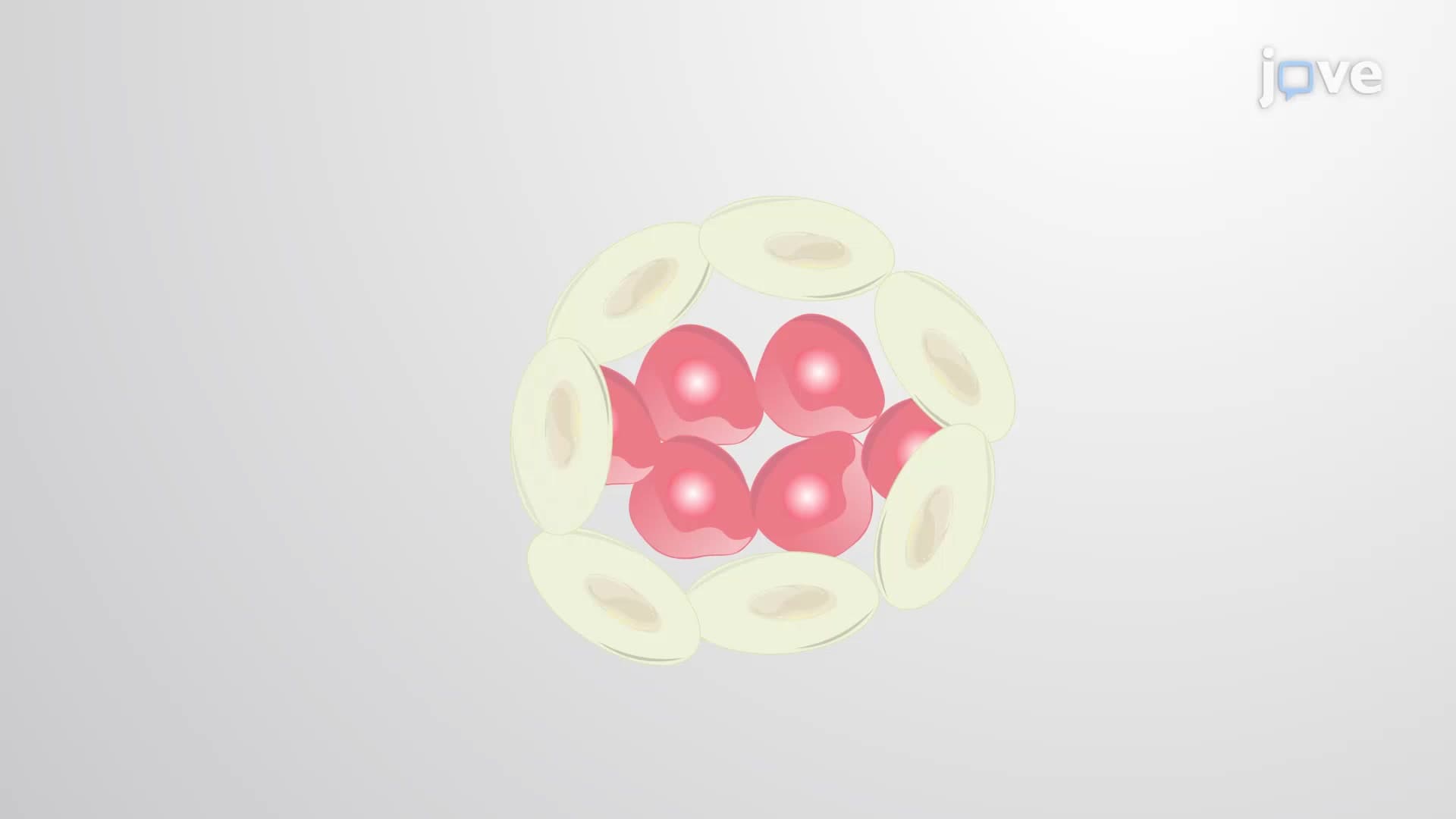 PDAC Stem Cell Isolation: A Method to Isolate Cancer Stem Cells from Pancreatic Tumors