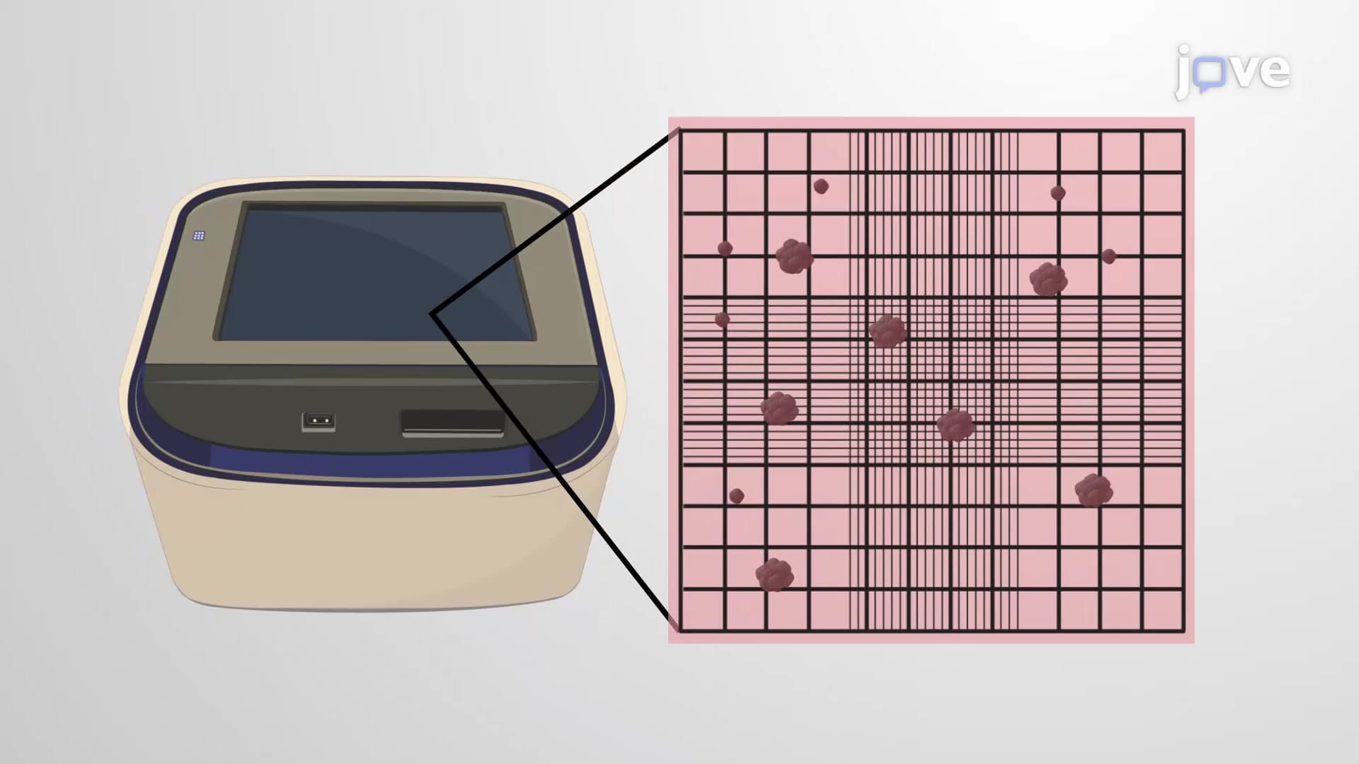 Sphere Formation Assay: An In Vitro Method to Identify Pancreatic Cancer Stem Cells and Screen Therapies