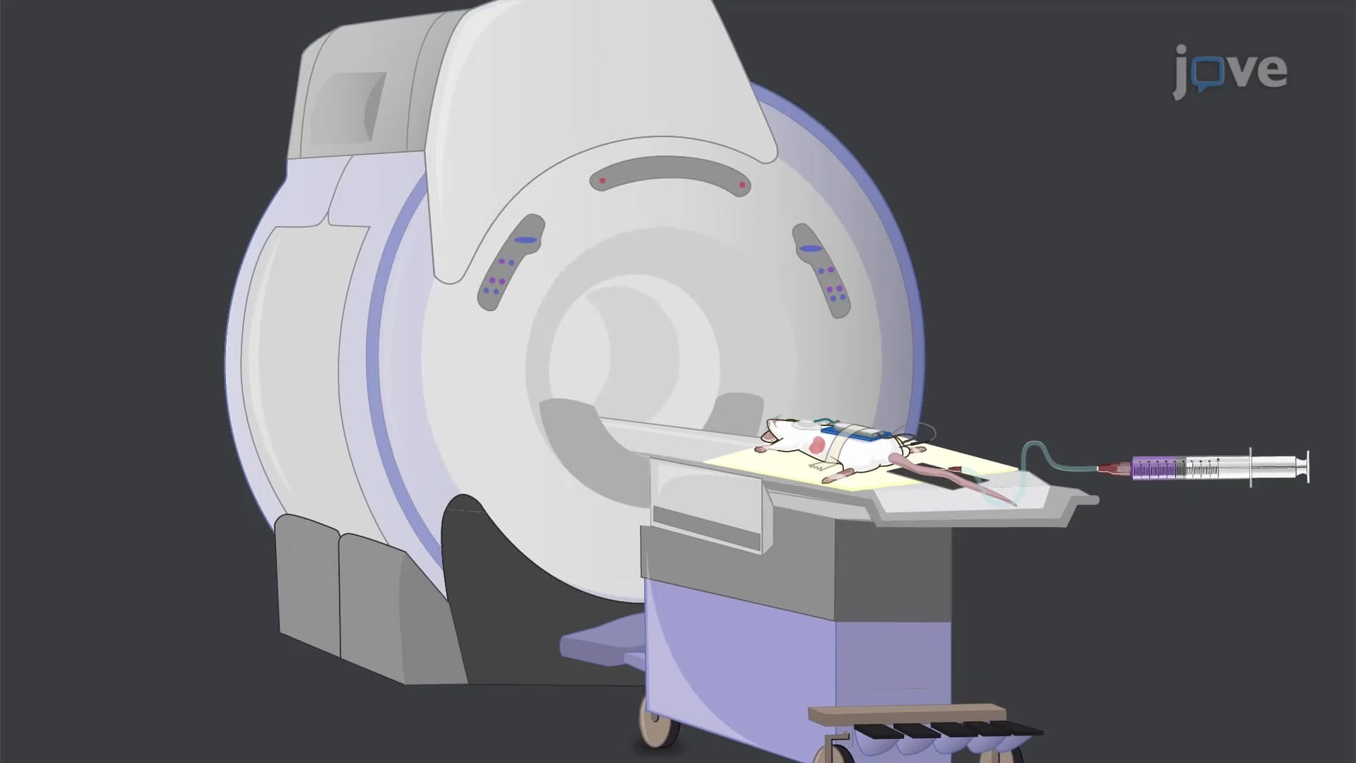 DCE-MRI of Orthotopic Pancreatic Tumor Xenografts: A Method to Assess Microvasculature in a Target Tumor Tissue