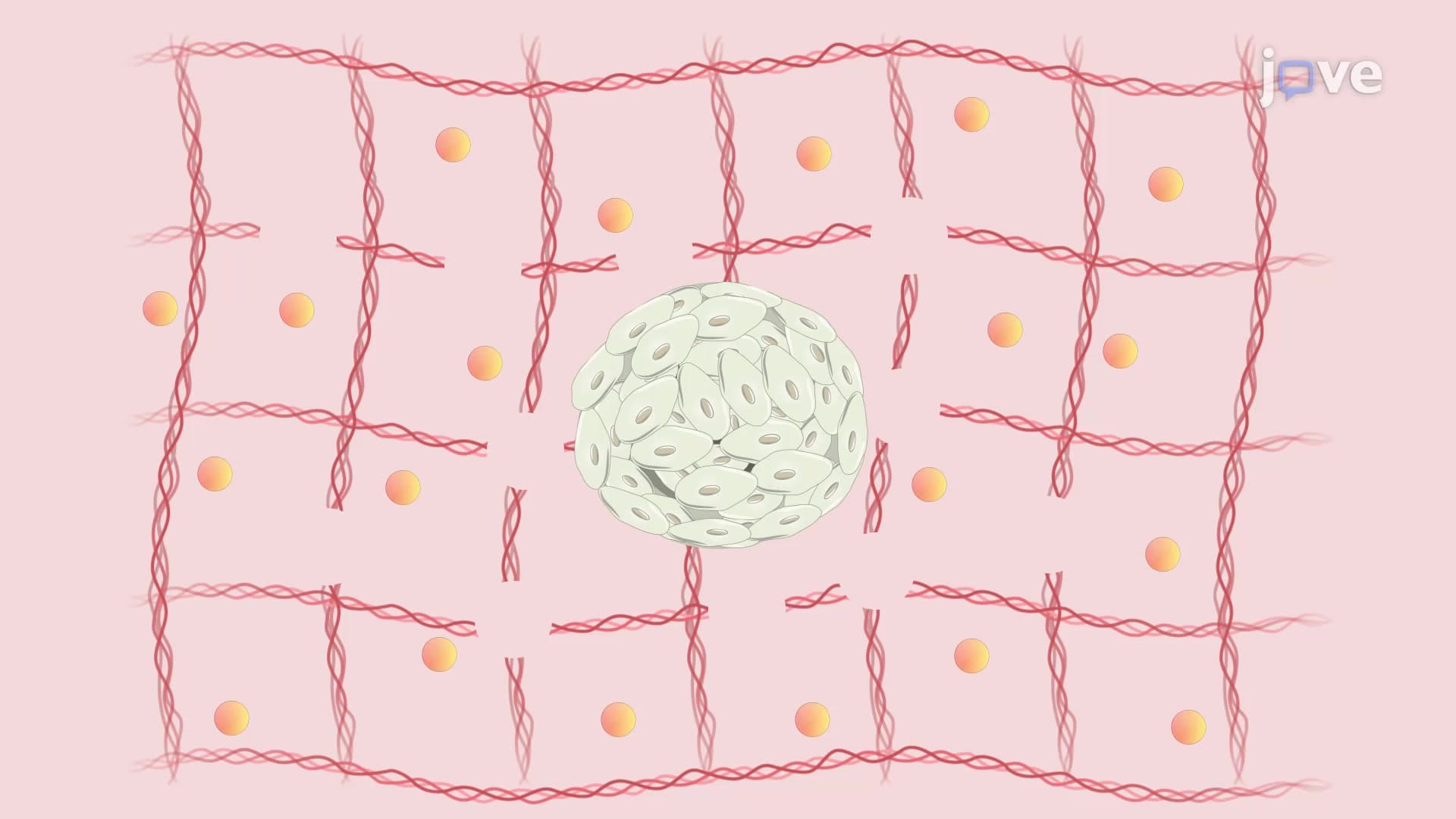 PTM Based Tumor Microenvironment Monitoring: A Method for Tracking Changes in ECM Rigidity Using Tumor Spheroids