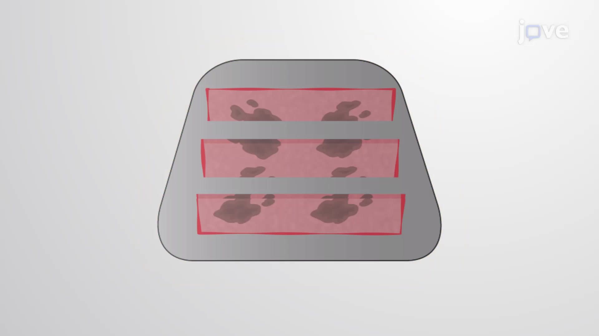 Frozen Skin Tissue Block Preparation: A Protocol to Preserve Cutaneous Melanoma Samples from Murine Dorsal Skin