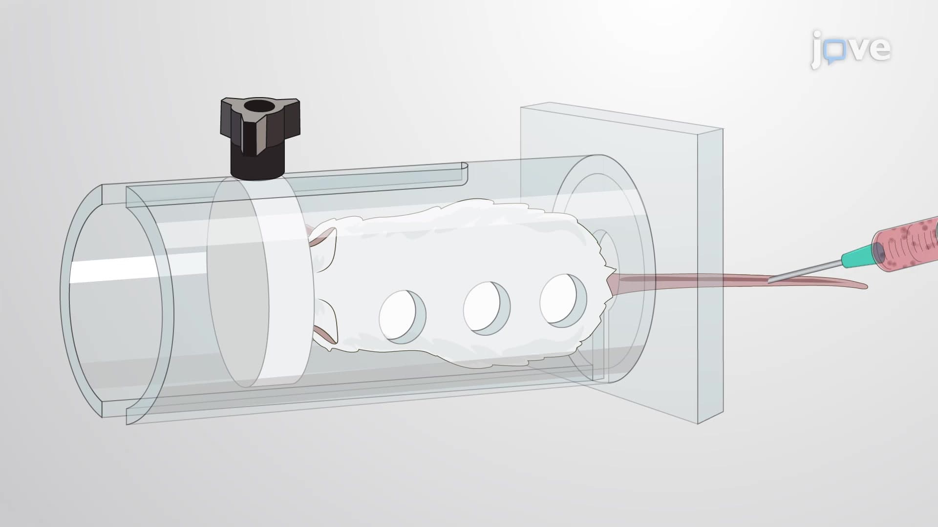 Experimental Metastatic Melanoma Mouse Model: A Platform to Study the Metastatic Potential of Melanoma Cells in the Lungs