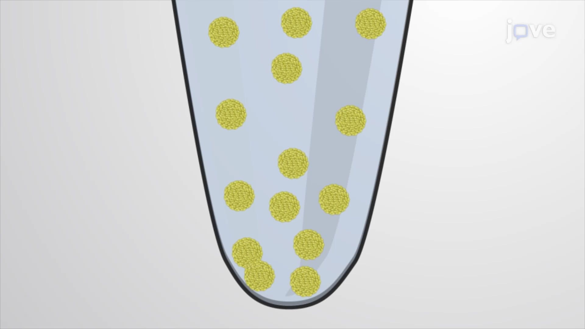 Agarose Spin Down Assay: A Technique to Embed Organoids for Histological Analysis