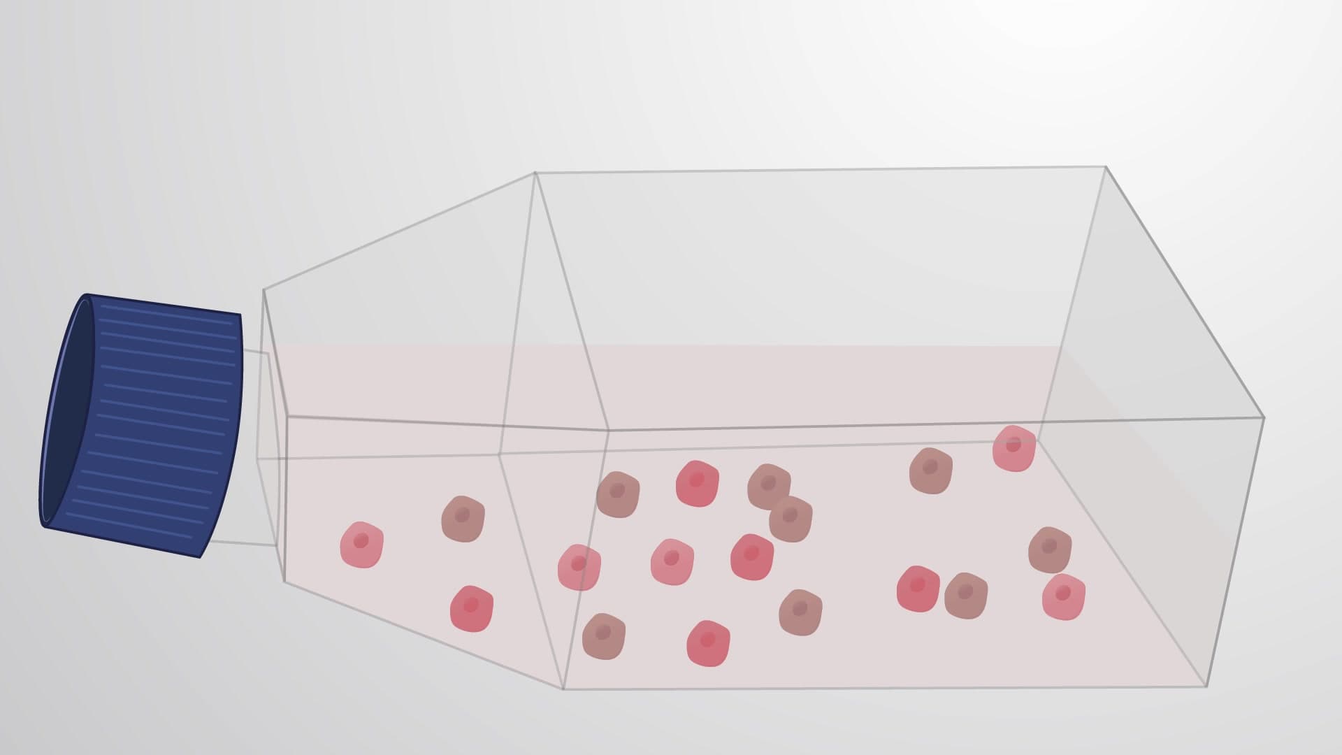 Generating Chemoresistant Prostate Cancer Cells: A Procedure for Obtaining Drug-resistant Cancer Cells In Vitro