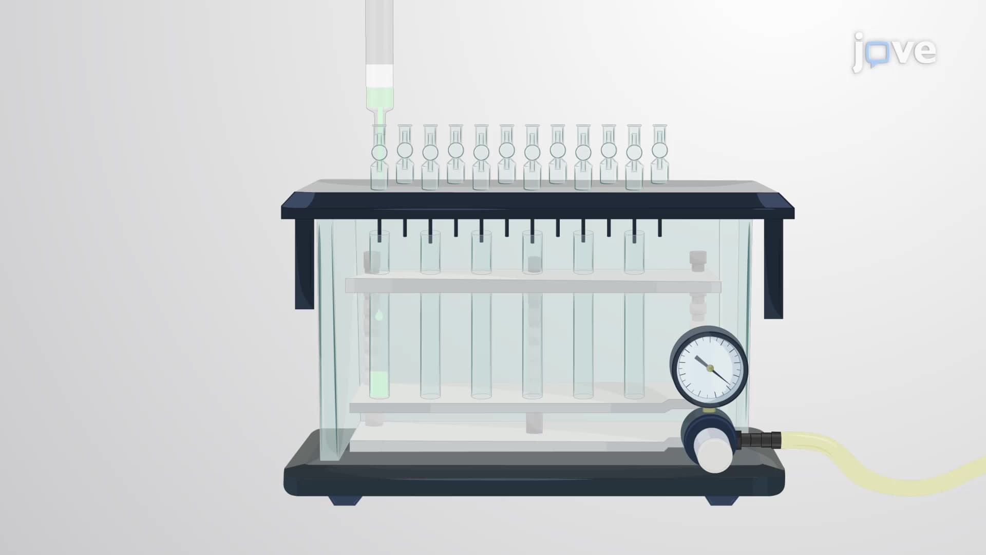 Peptide Purification: An RP-HPLC-based Technique to Extract Peptides from Digested Protein Lysates