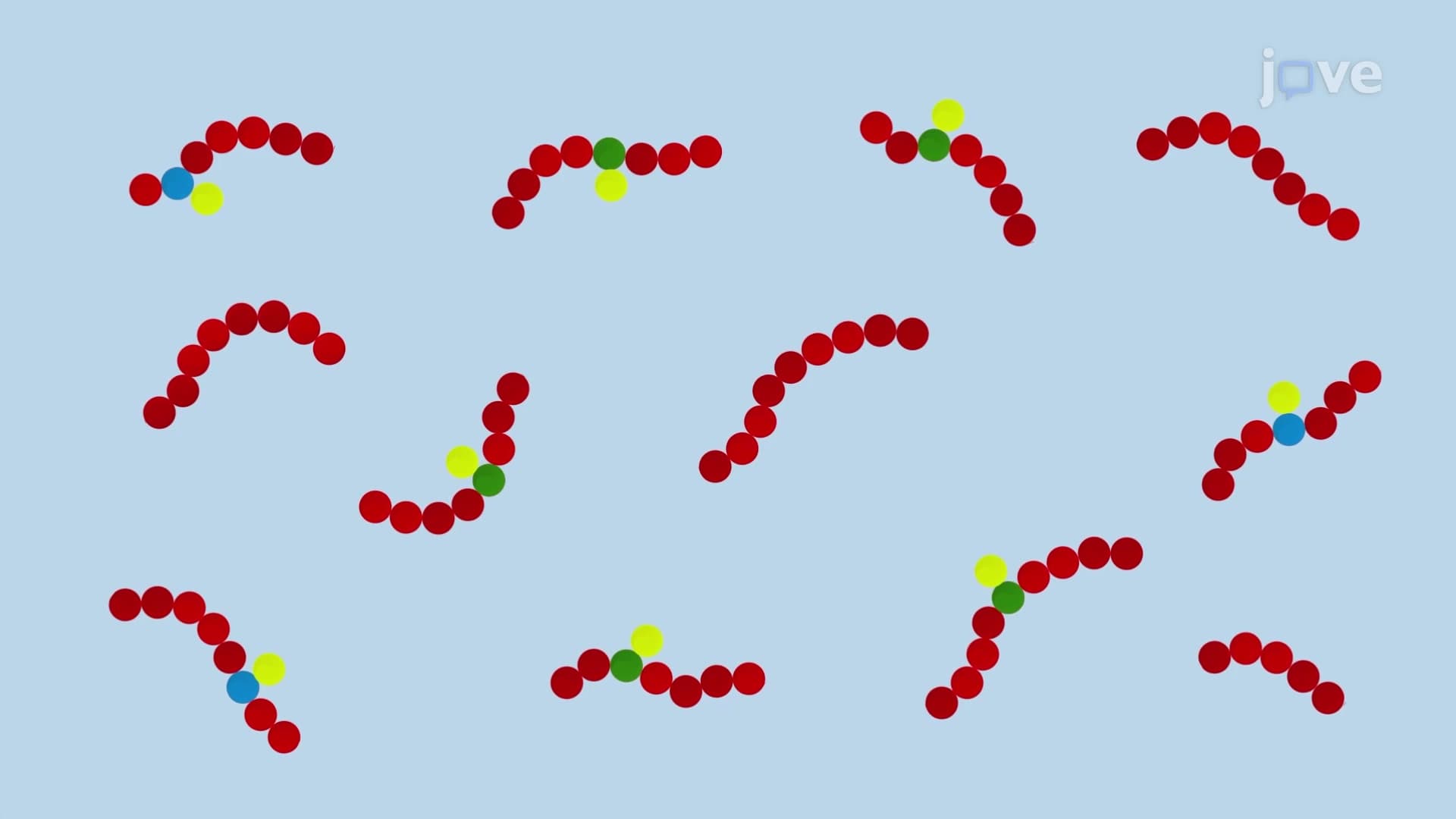 Phosphopeptide Enrichment: An Antibody-based Immunoprecipitation Technique to Separate Specific Phosphorylated Peptides from Complex Peptide Mixtures