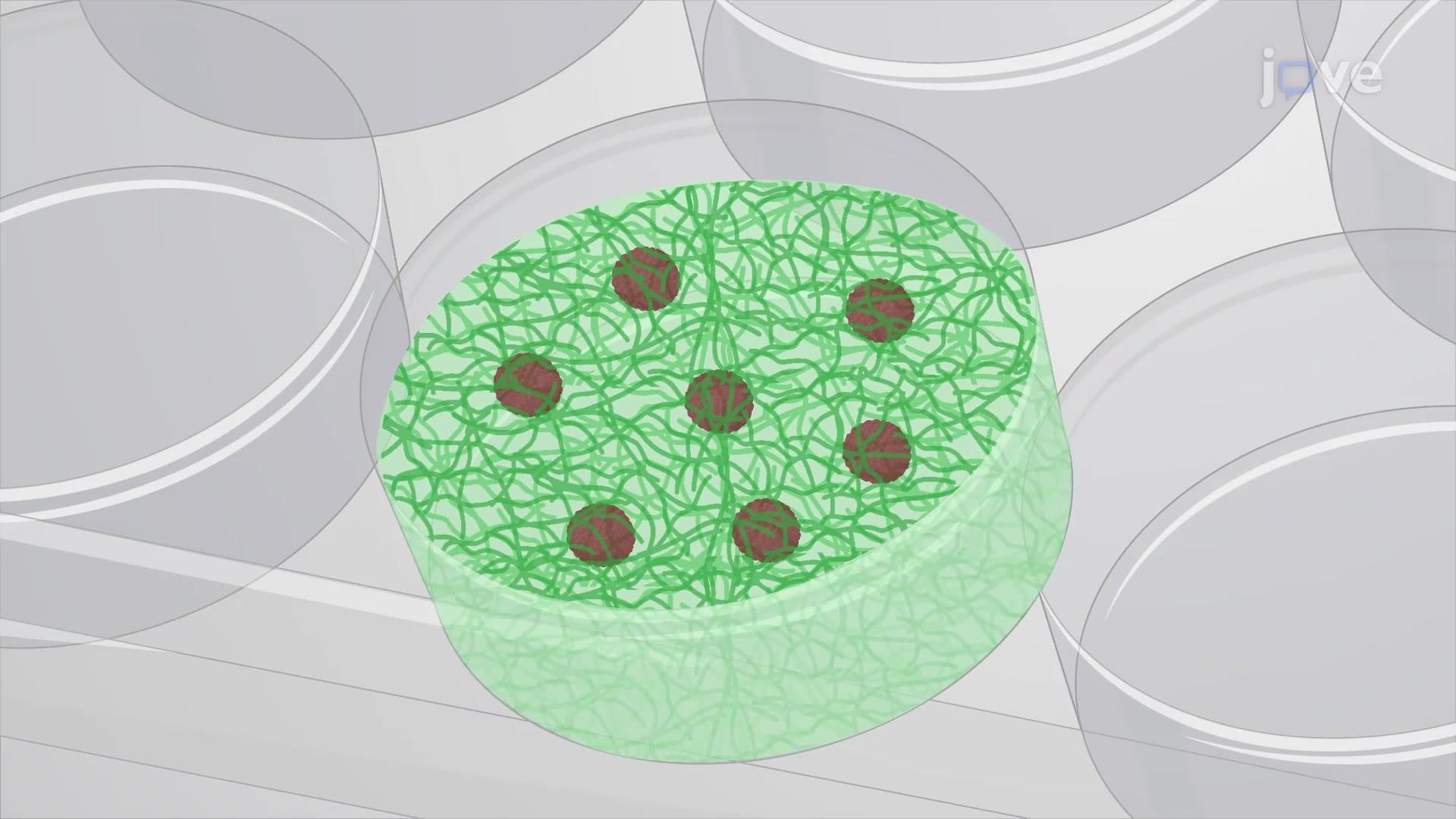 Splitting Spheroids for Sub-culturing and Shipping: A Procedure for Propagating and Transferring Spheroids from Small Bowel Neuroendocrine Tumor