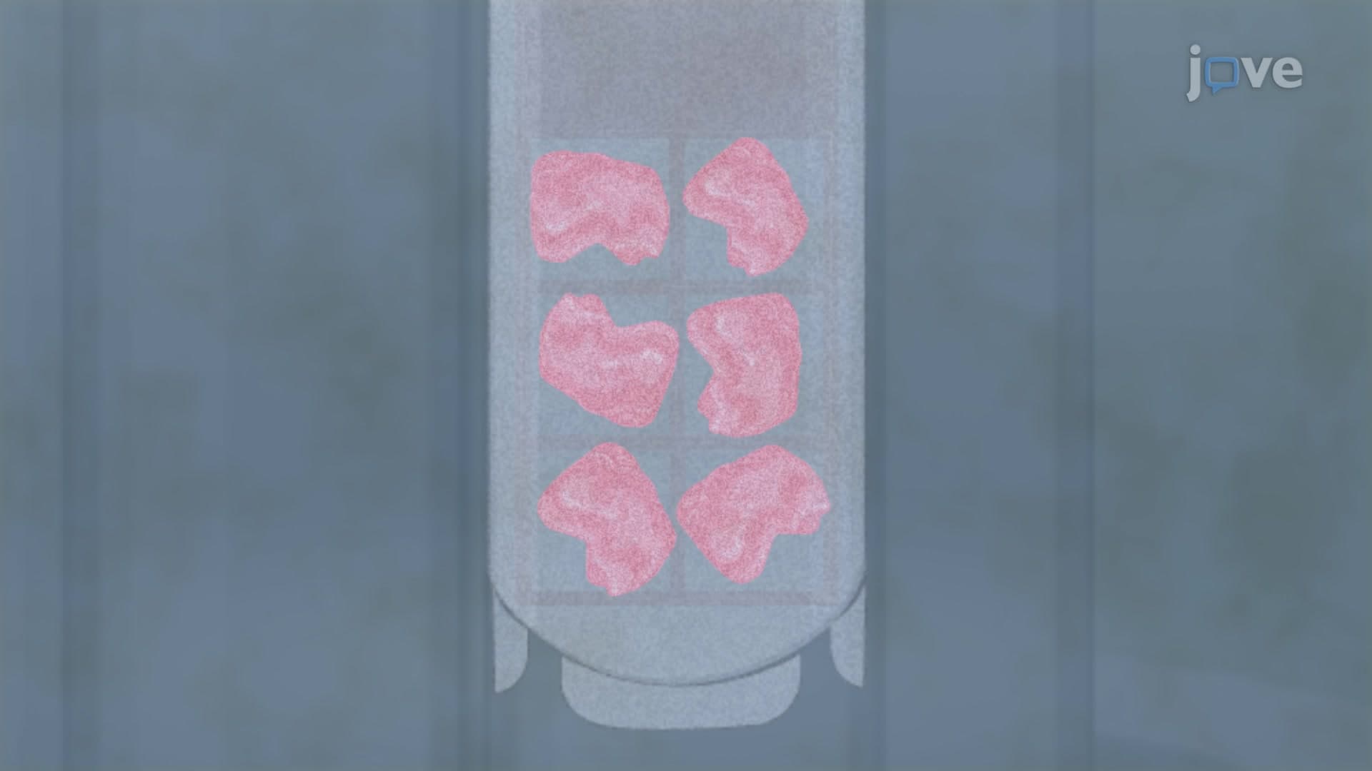 Vitrification-based Cryopreservation: An Ultra-rapid Cooling Technique to Preserve Biological Specimens at Very Low Temperatures for Long-term Storage