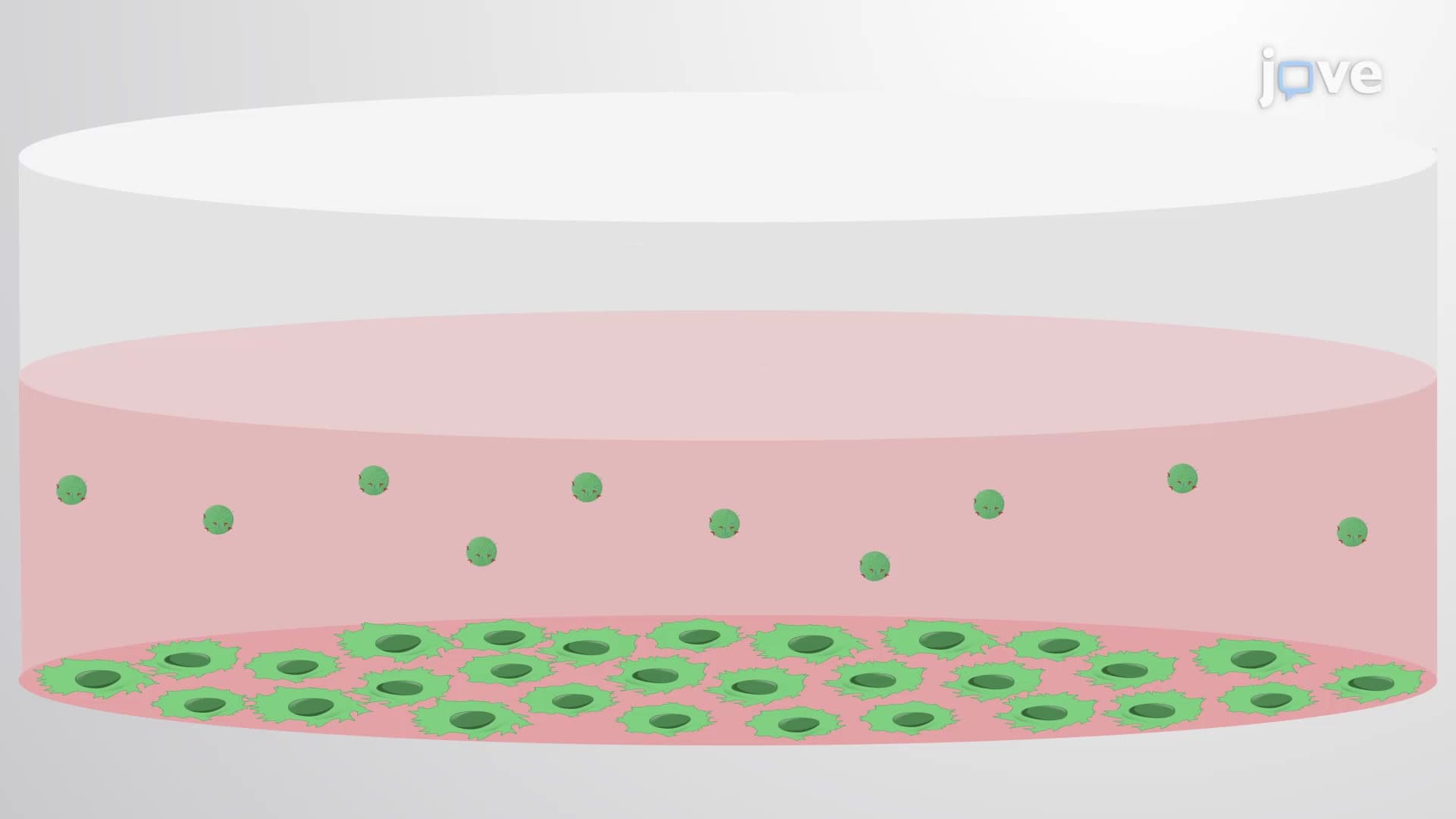 Exosome Block Preparation: A Protocol to Preserve Exosomes From Cultured Human Colon Cancer Cells