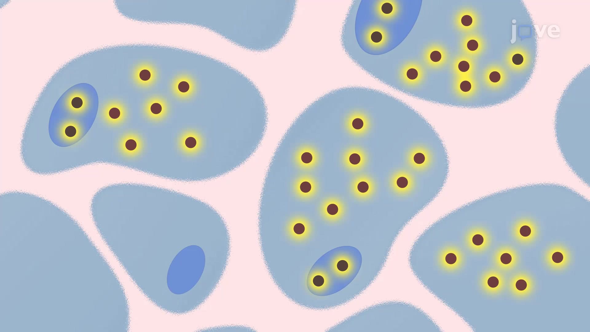 RNA CISH Signal Detection: A Technique to Detect Chromogenic Signals During RNA In Situ Hybridization in Intact Tissue Specimens