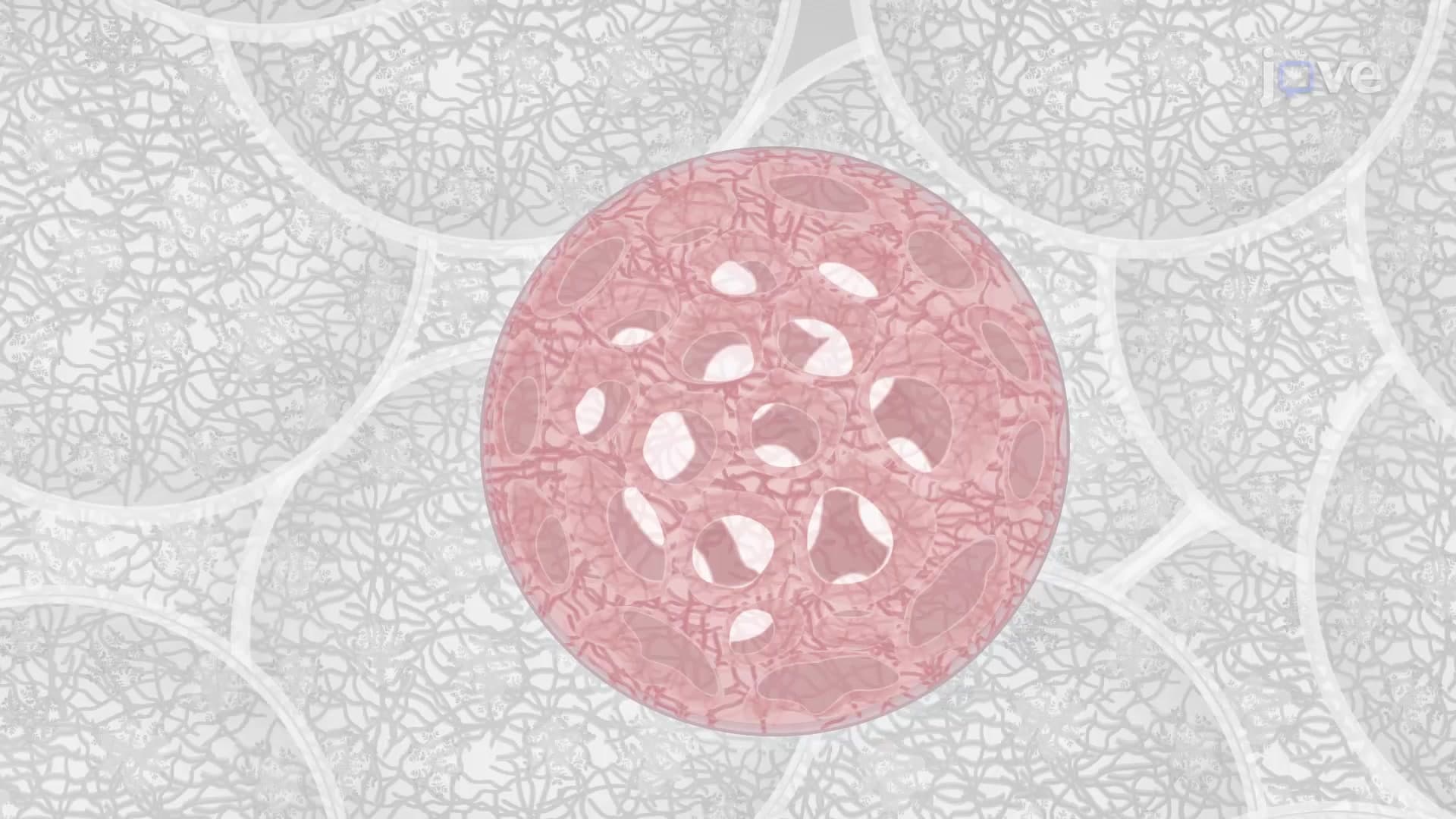 Bioscaffold Fabrication by Electrospraying: A Technique to Generate Microcarrier Scaffolds Derived from Extracellular Matrix of Decellularized Tissue