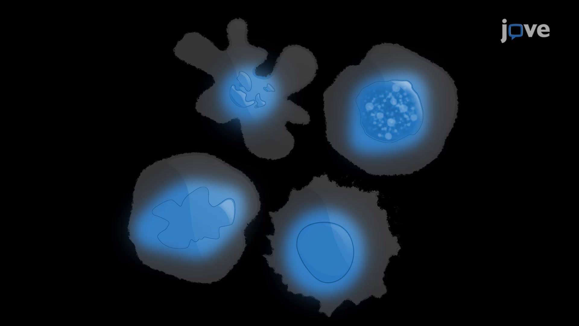 Cell Death Screening Using DAPI Staining: A Method for Rapid Screening of IR Induced Clonogenic Cell Death in Cancerous Cell Lines
