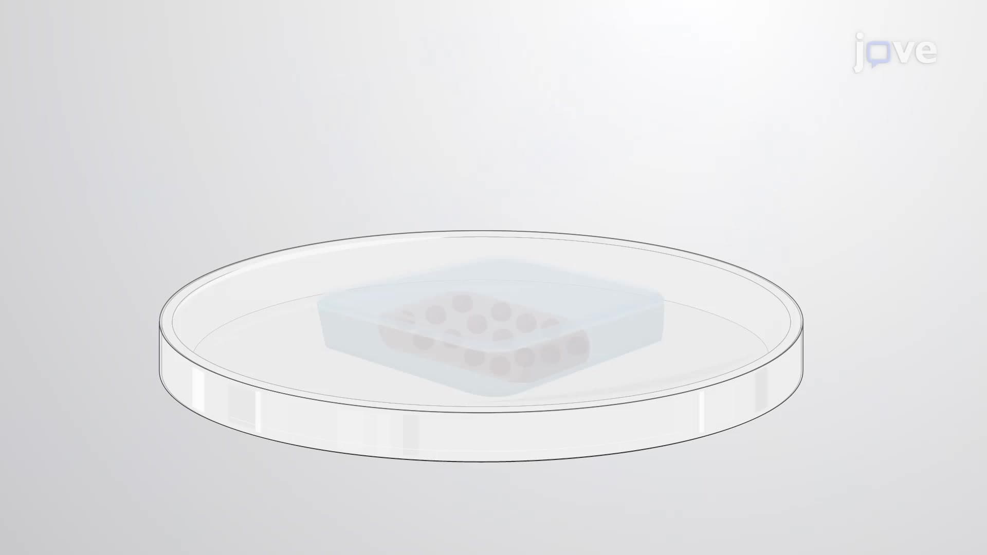 Preparation of Cancer Spheroid Blocks by Flash Freezing: A Procedure To Preserve Cancer Spheroids in Frozen Matrix Blocks