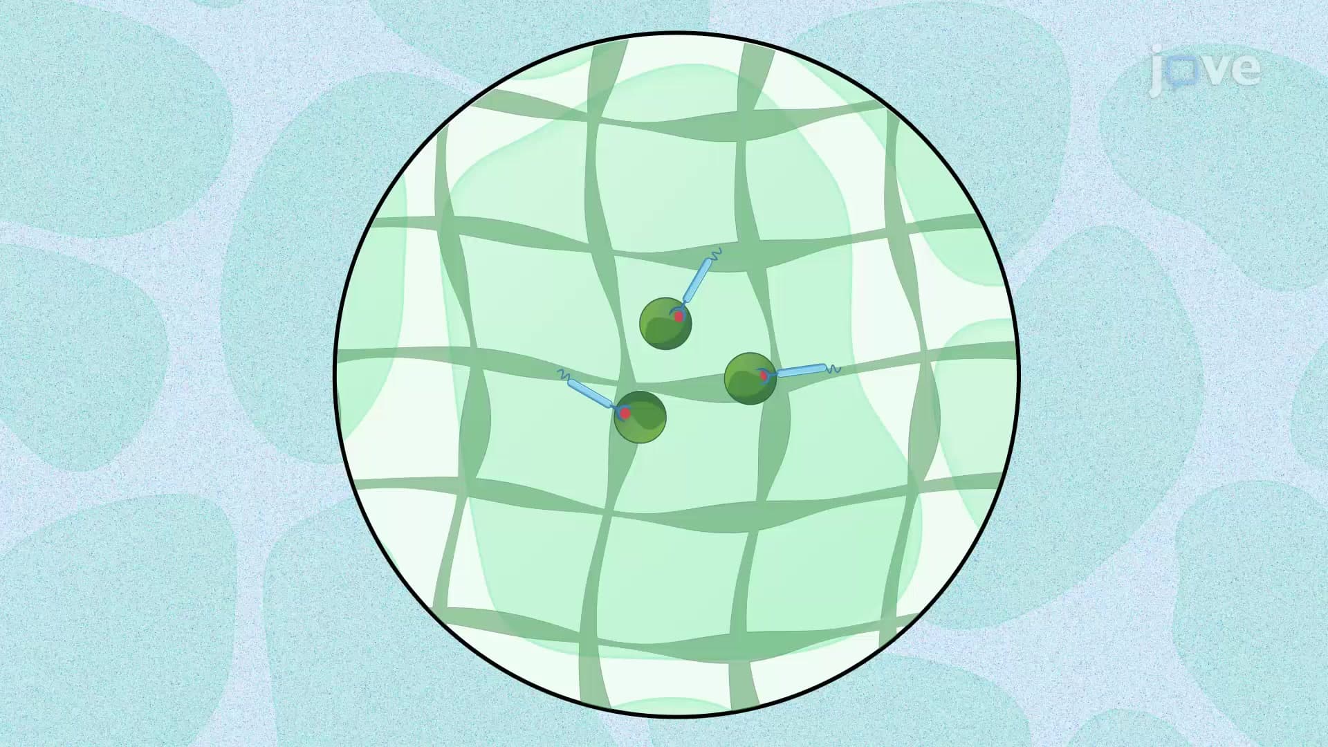 Expansion Pathology: A Method for High-resolution Optical Imaging of Clinical Tissue Samples