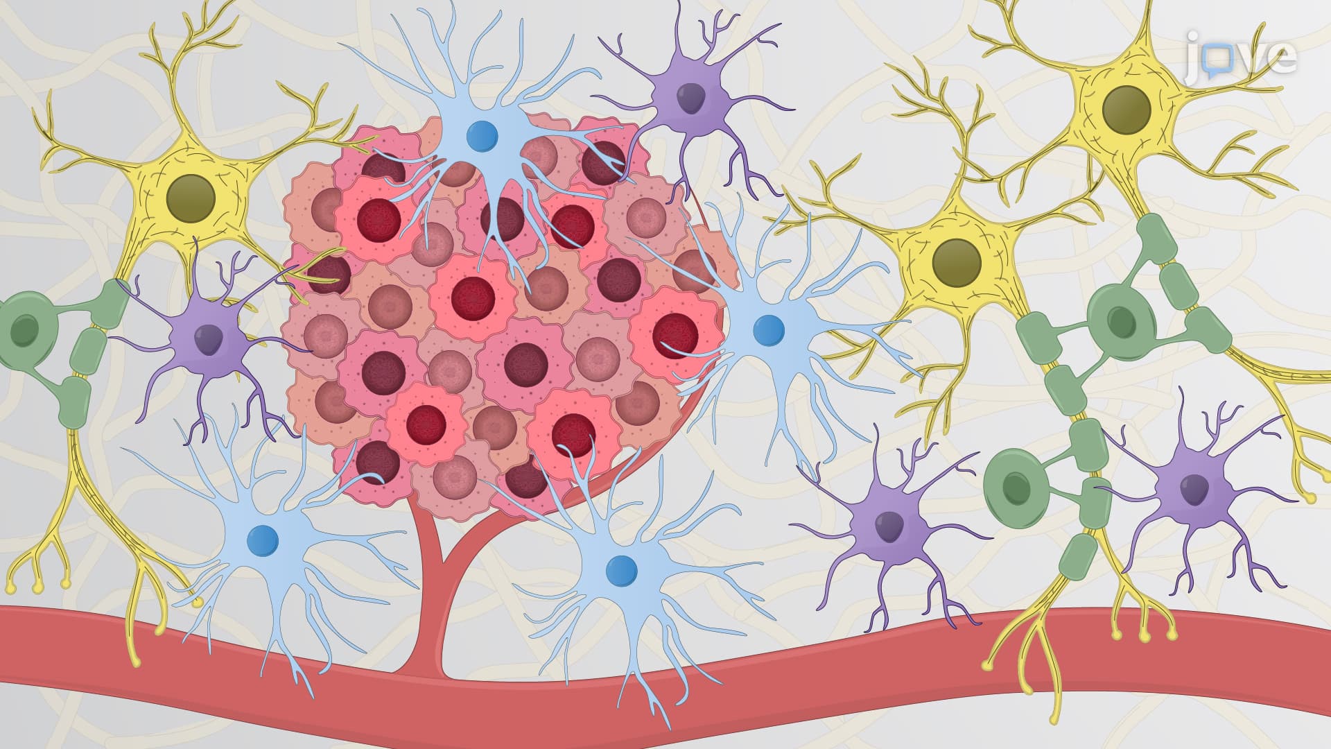 Isolation of Nuclei from Fresh Frozen Glioma Tissues: A Method to Obtain Intact Nuclei from Glioma Tumor Samples