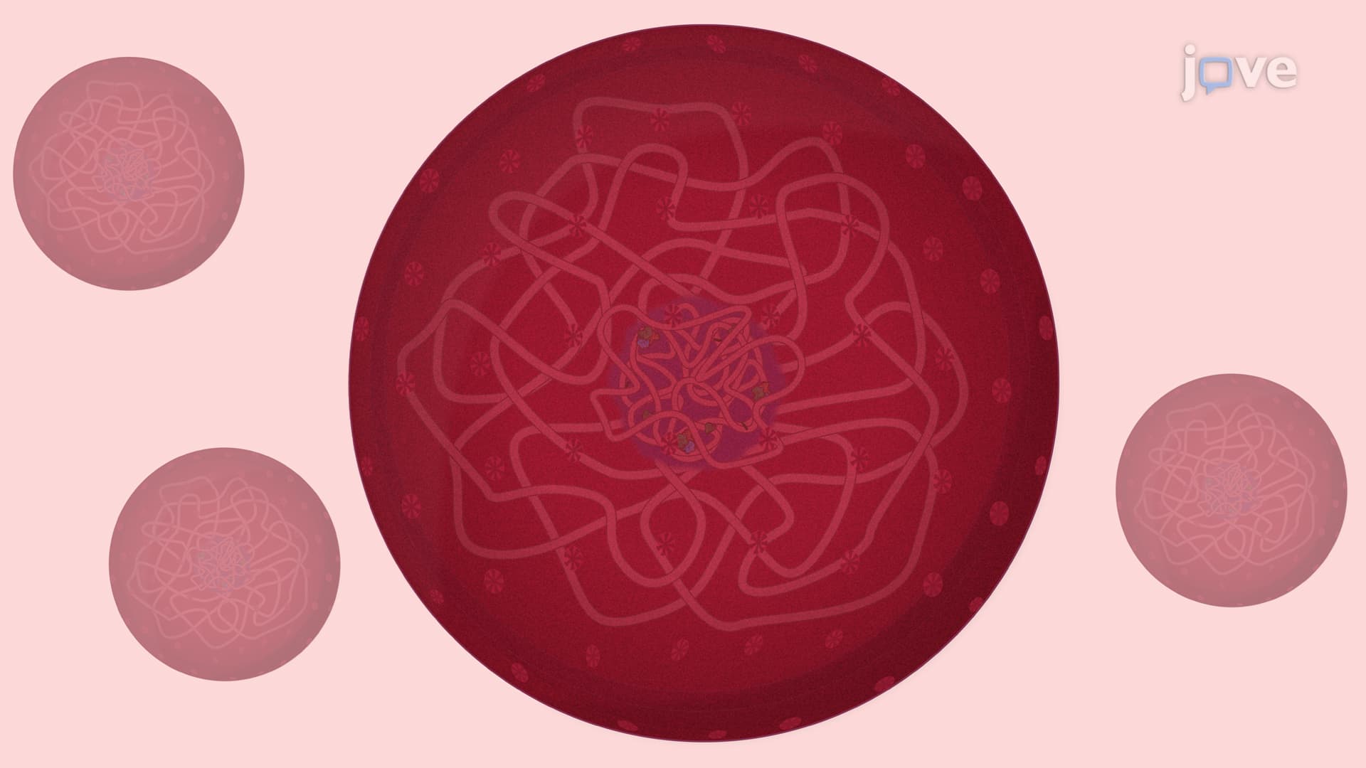 Gradient Centrifugation Based Purification of Nuclei: A Technique to Obtain Ultrapure Fraction of Intact Nuclei Using Density Gradient Centrifugation