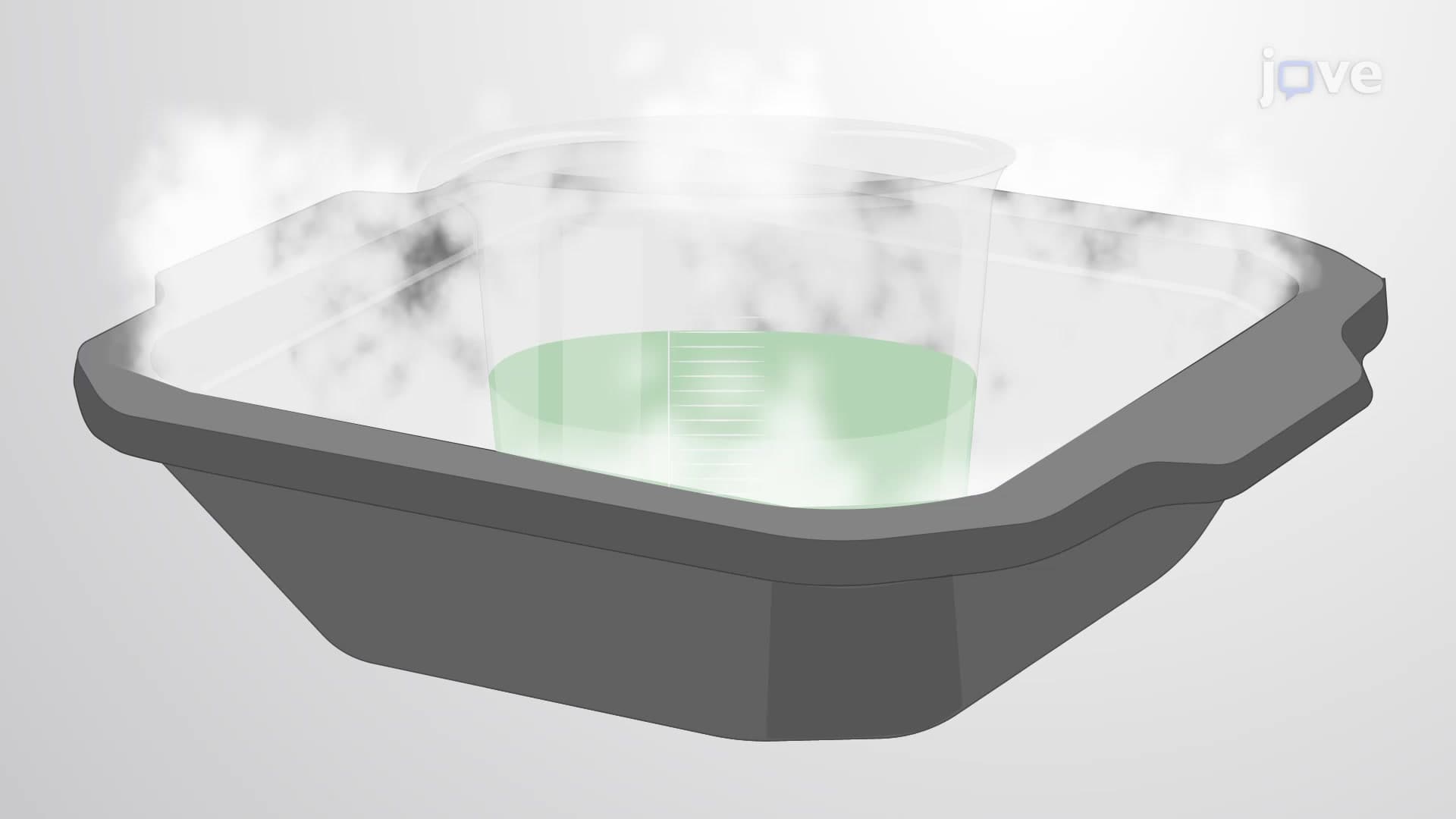 Cryopreservation of Murine Brain by Snap Freezing: A Technique to Rapidly Freeze Whole Mouse Brain Specimen for Histological Analysis