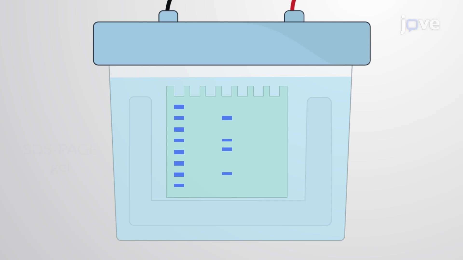 SDS-PAGE Based Extraction of Extracellular Vesicles Associated Proteins: A Procedure to Extract Proteins from EVs and Prepare Them for In-Gel Digestion