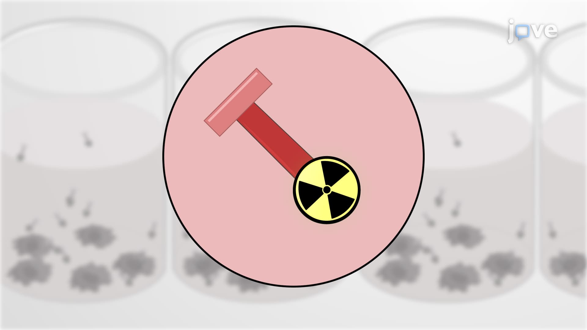 DNA Synthesis Assay: A Technique to Assess DNA Synthesis in Proliferating Cells Using Radioactive Tritiated Thymidine Incorporation
