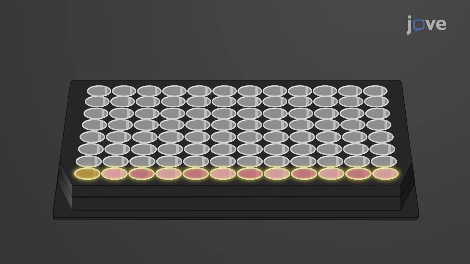 Blood-Brain Barrier Mimic Permeability Assay: An In Vitro Assay to Assess the Permeability of BBB Mimic to Tracer Molecules
