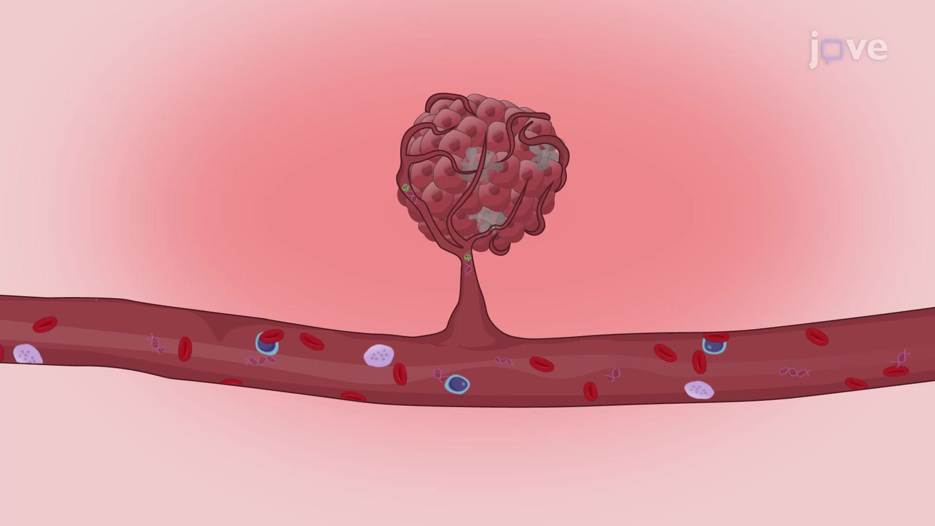 Isolation of Circulating Cell-free DNA (cfDNA): A Silica-based Membrane Procedure to Extract cfDNA from Blood Plasma of Cancer Patients