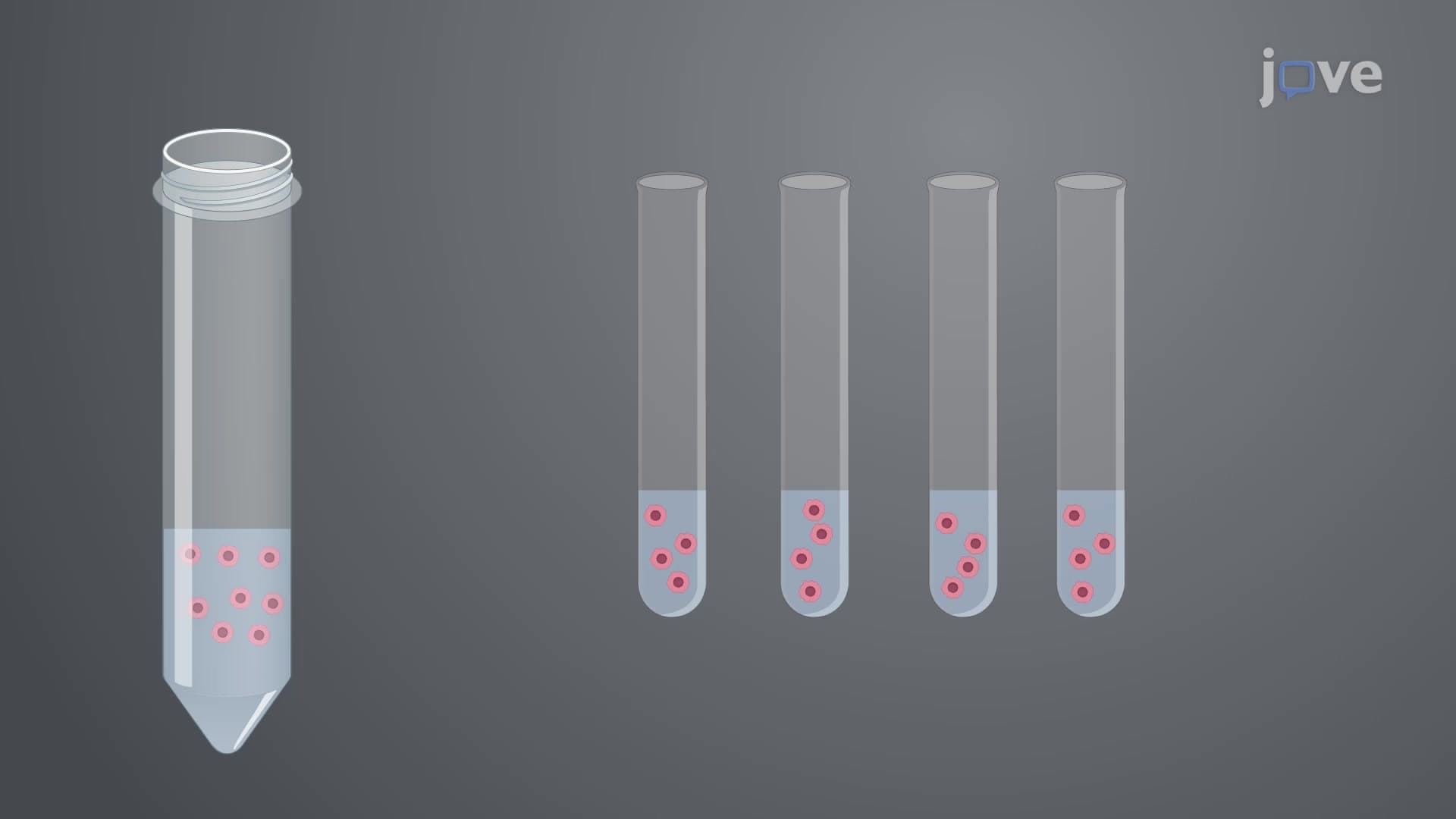 Fluorescent Labeling of Glioma Cells: A Lentiviral Vector-based Transfection Method to Obtain Glioma Cells Expressing Fluorescent Protein for Deep Tissue Imaging
